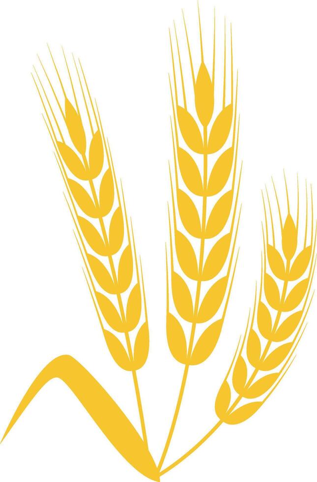 Three stylized wheat stalks are forming a simple composition, with a single leaf at their base, representing agriculture, farming, and harvest vector