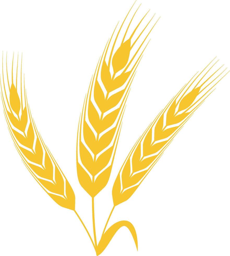 Three stylized ears of wheat growing together against a white background, symbolizing agriculture, farming, and the essential production of food in a simple, minimalistic design vector