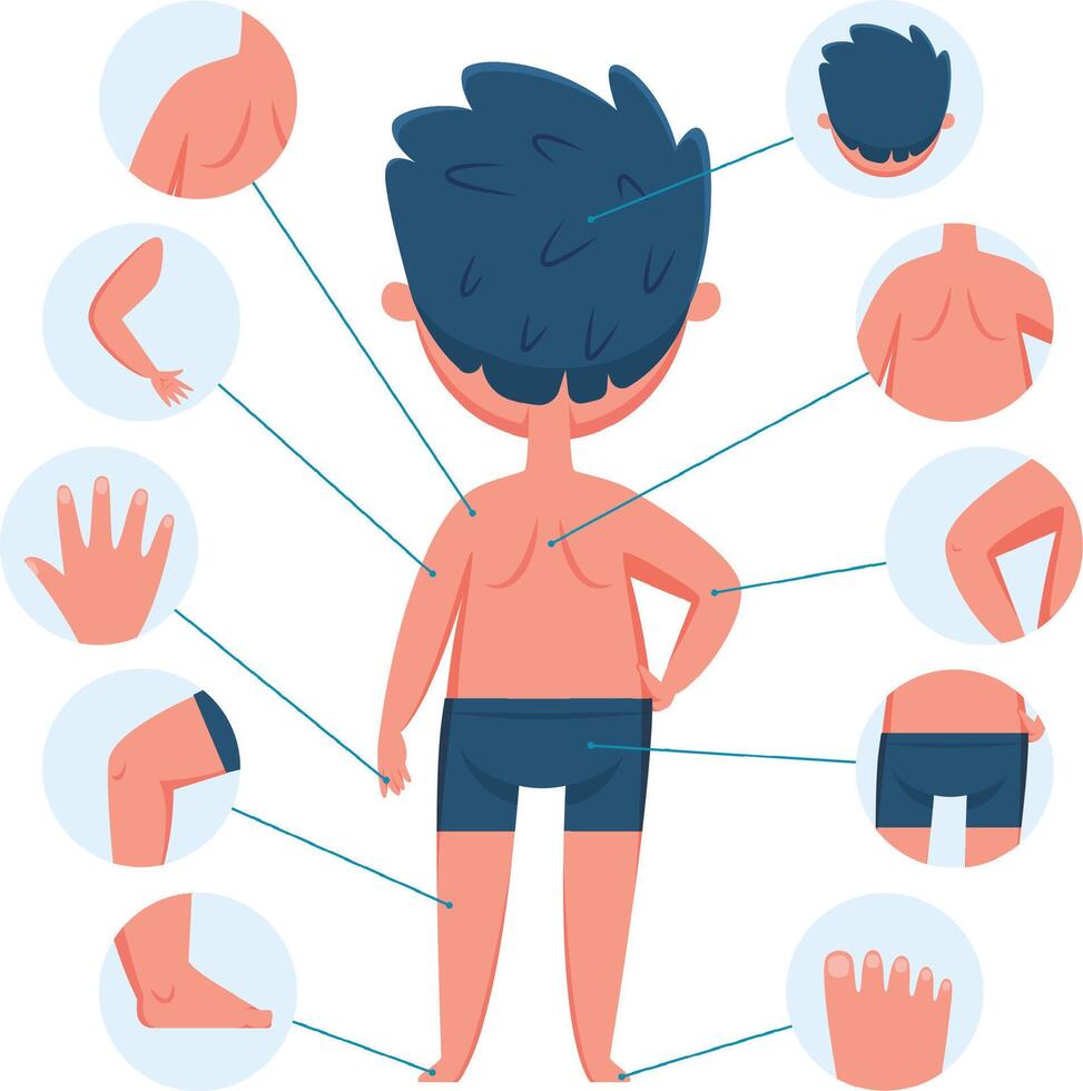 Educational infographic showing different body parts of a boy, including head, shoulder, arm, back, hand, leg, knee and foot, useful for teaching anatomy to children vector