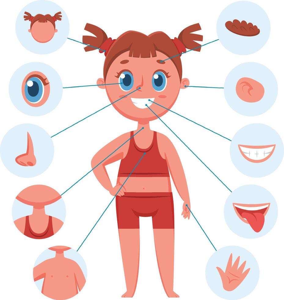 Educational infographic illustration with smiling cartoon girl character pointing different body parts for children learning, preschool, anatomy and biology studying vector