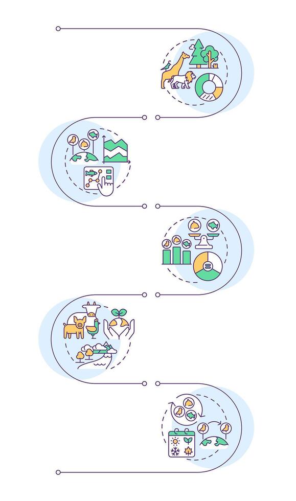 Biodiversity measurement infographic vertical sequence. Species richness, abundance, evenness. Visualization infochart with 5 steps. Circles workflow vector