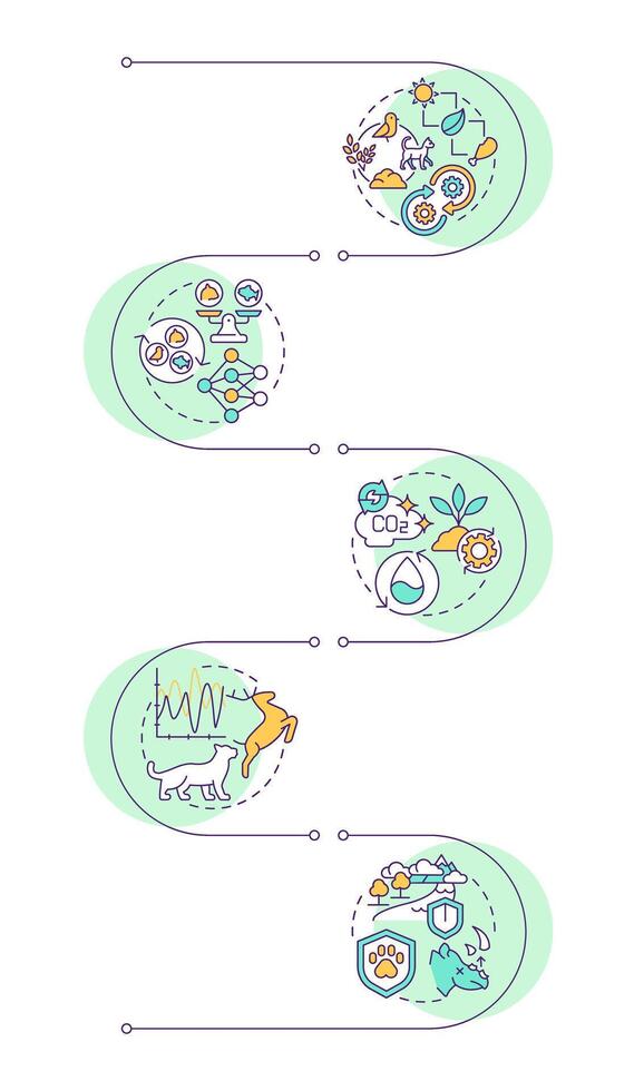 Ecological balance infographic vertical sequence. Food chain. Predator and prey relationships. Visualization infochart with 5 steps. Circles workflow vector