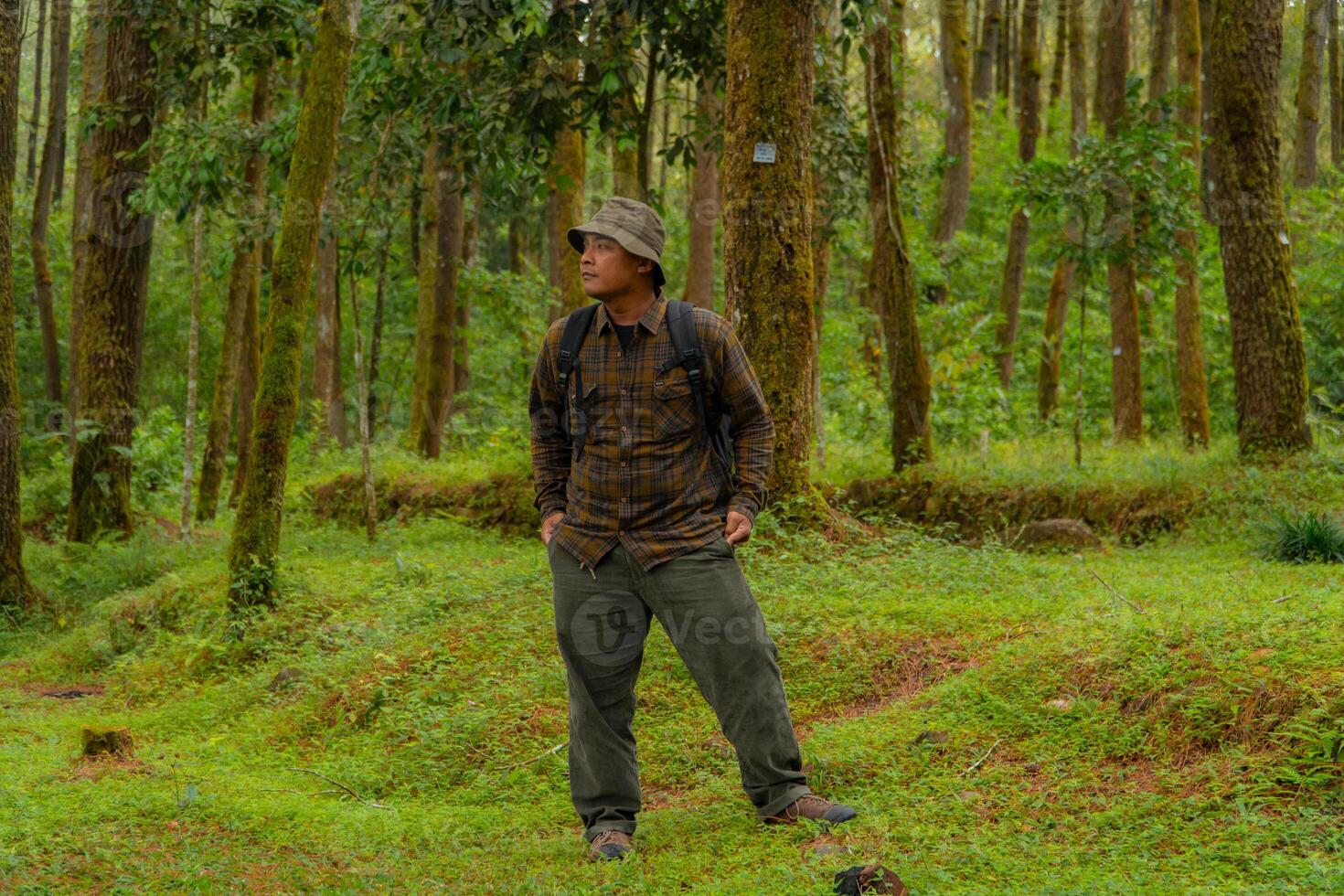An adventurer in a flannel shirt, bucket hat and backpack poses against a backdrop of dense pine trees. Asian man in adventure clothes in dense and green pine forest area. photo