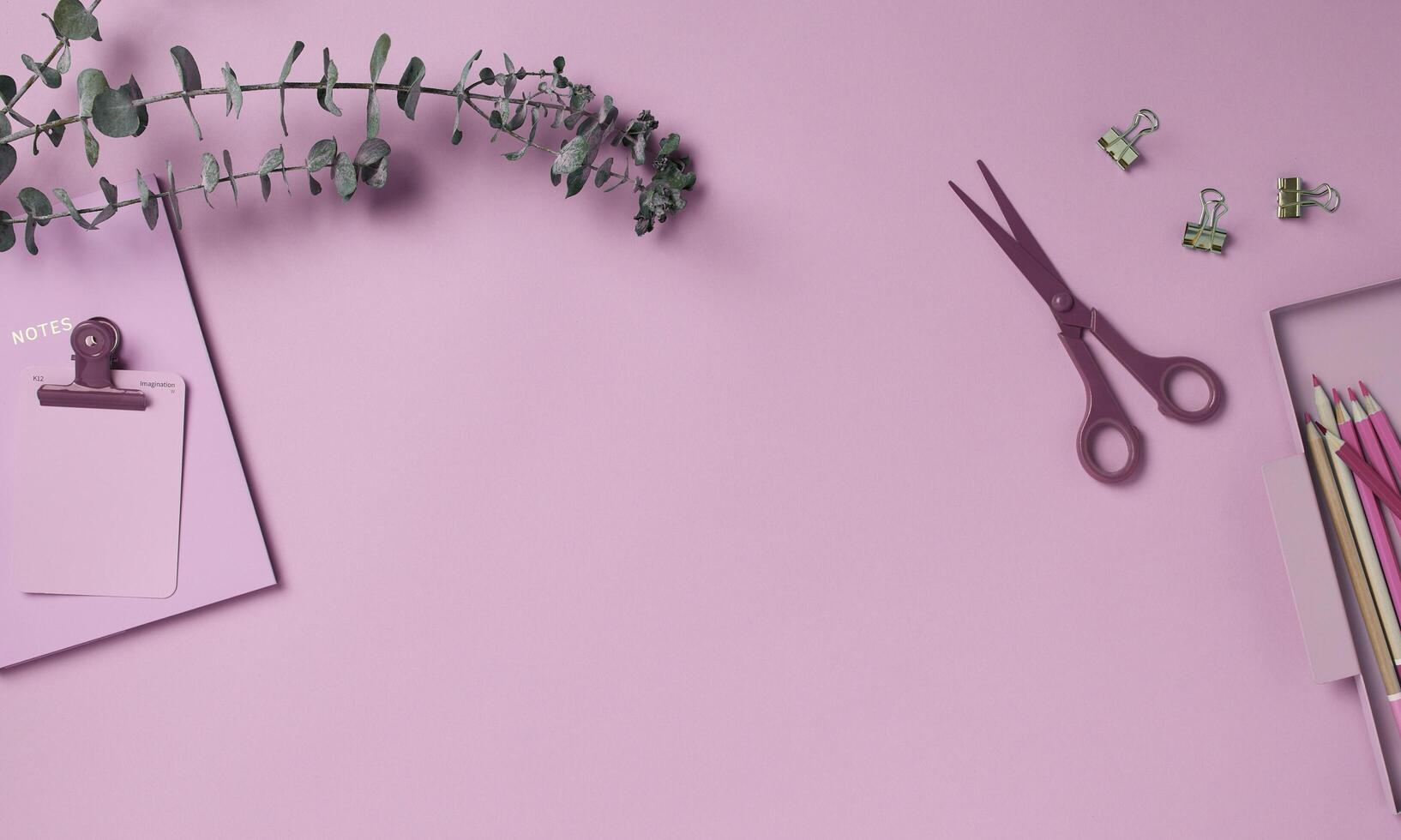 A pink background with a clipboard, scissors and a plant photo