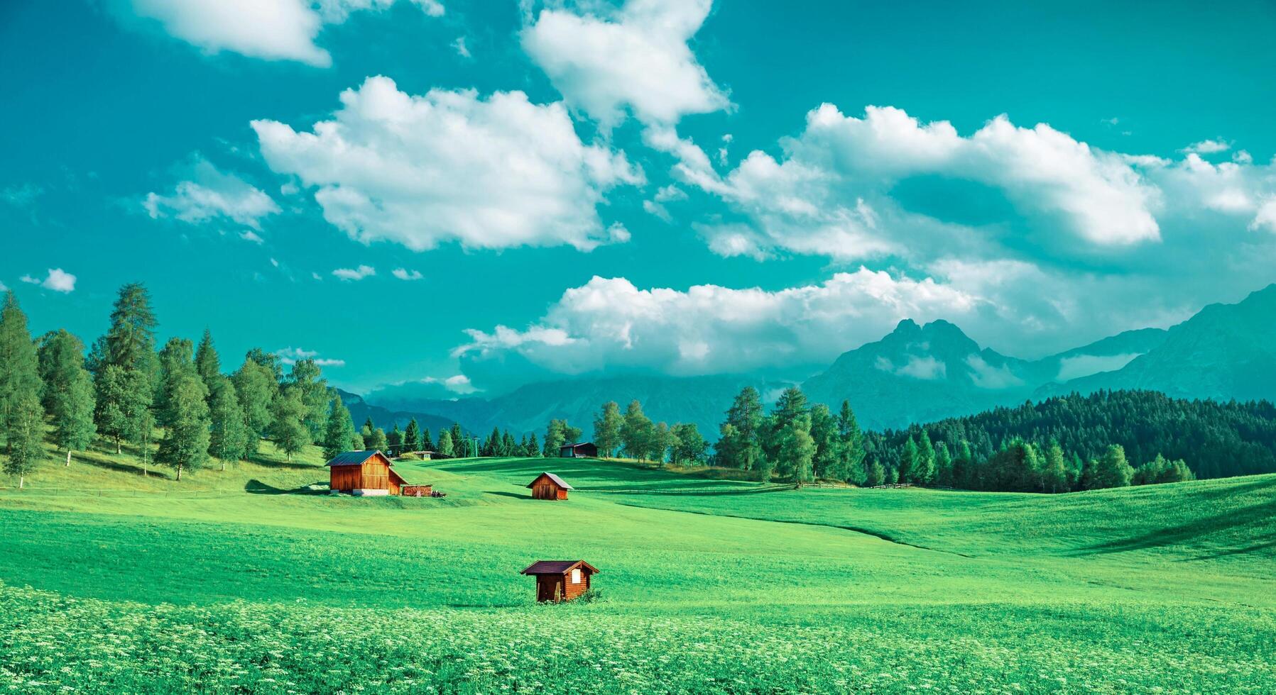 A green field with a few cabins in it photo