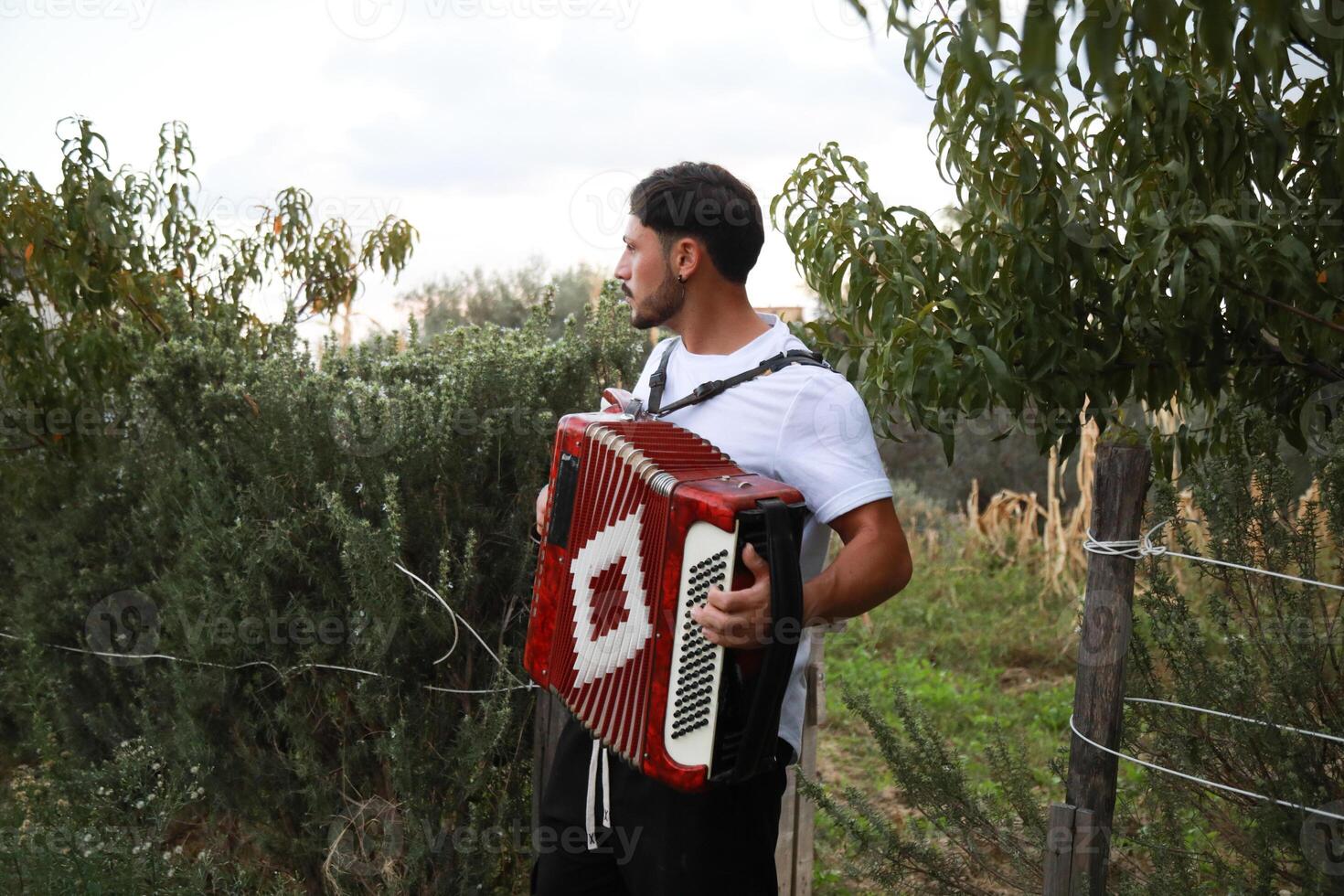 Technique And Ability Of A Professional Accordion Player photo