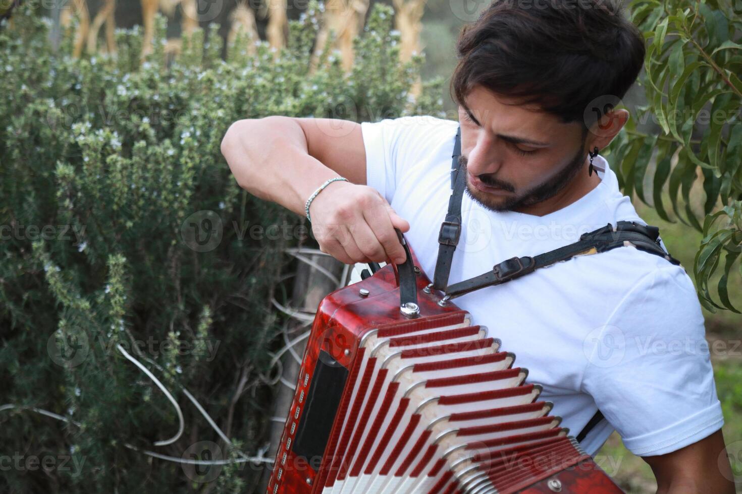 Closing An Accordion At The End Of A Performance photo