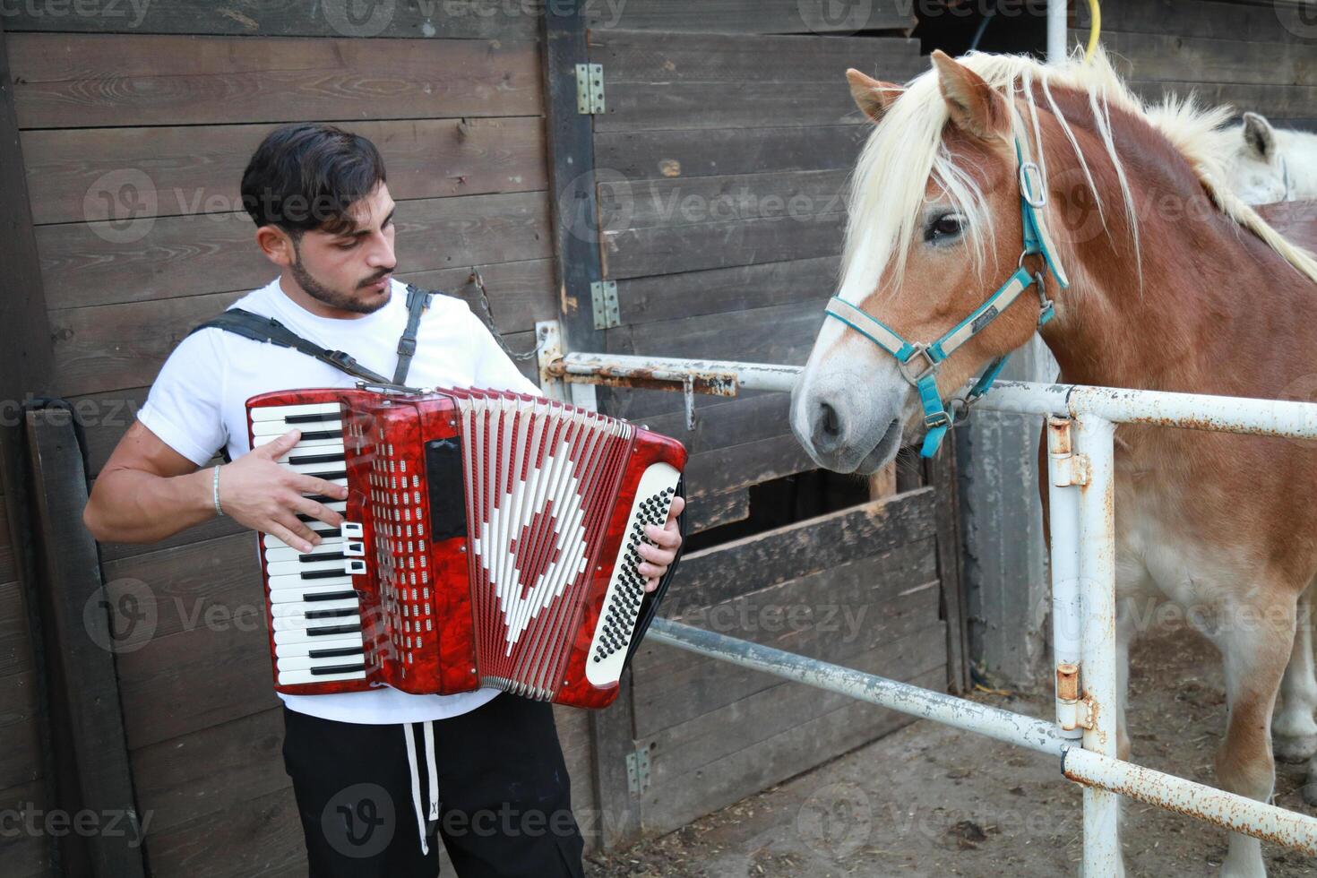 Musician Accordion Notes Enriching Rural Air photo