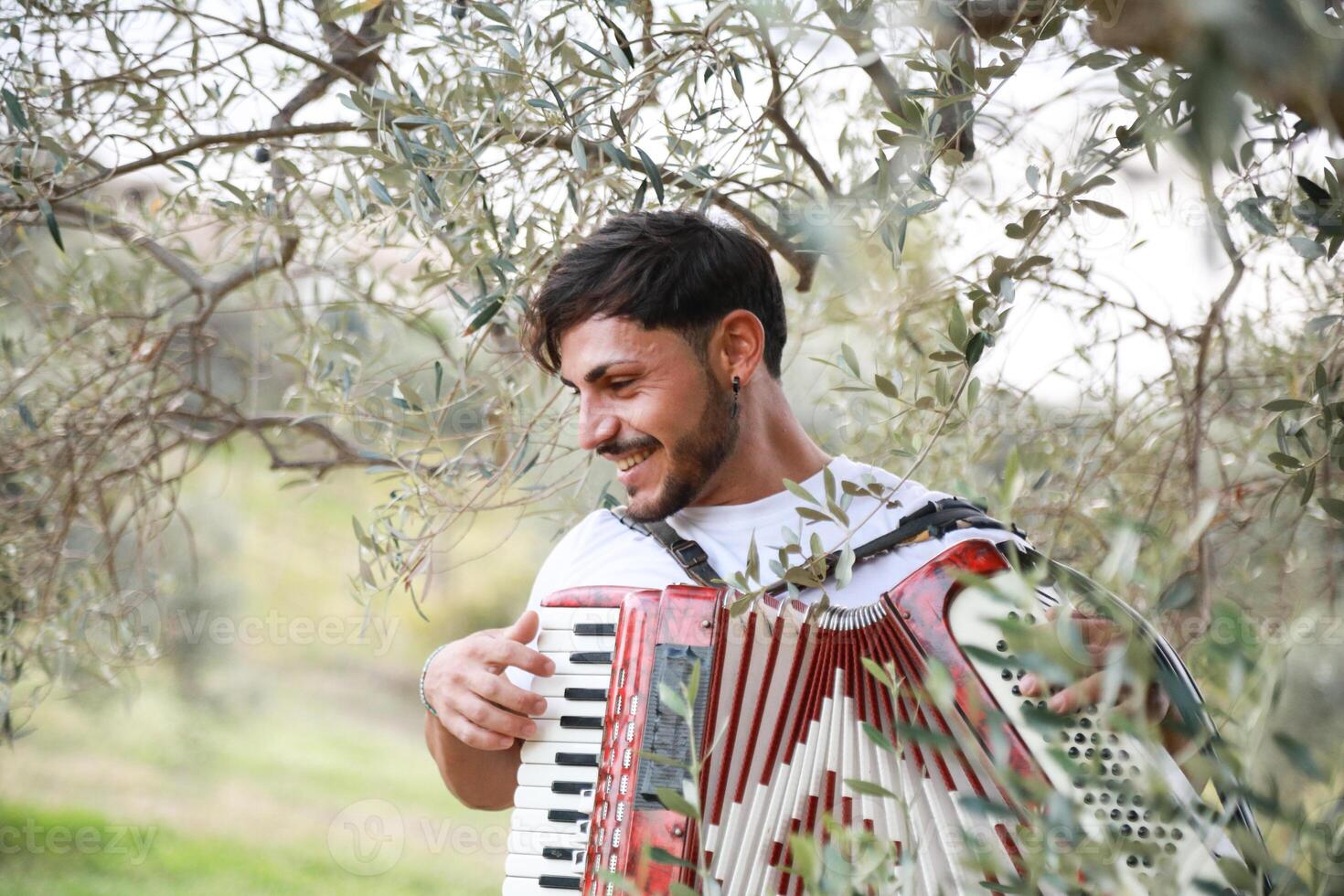 Music Sounds From Accordion In The Green Field photo