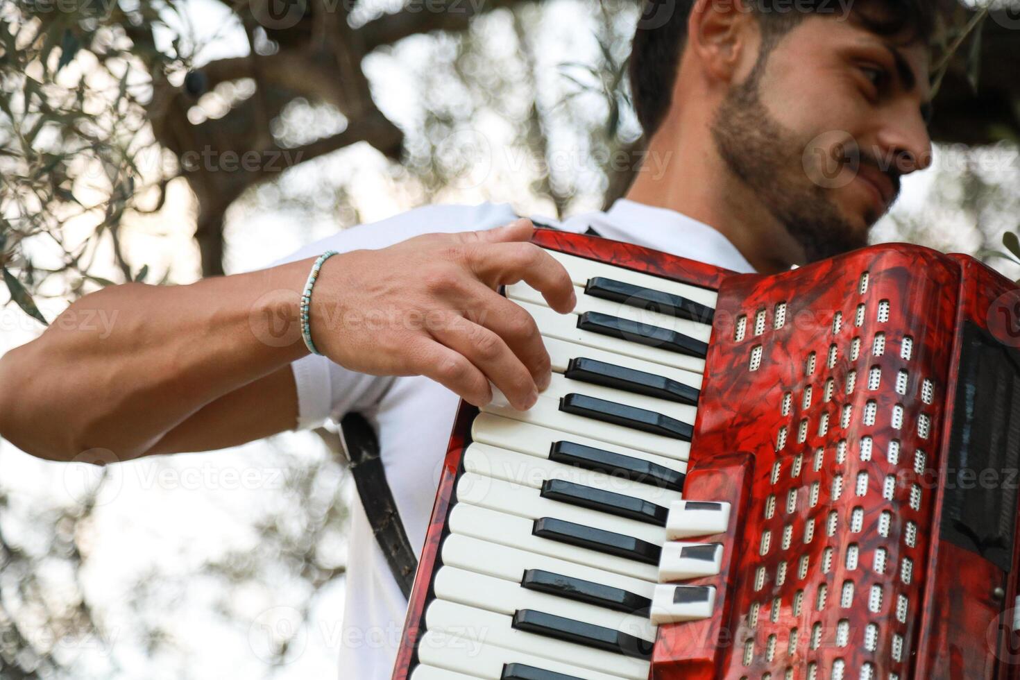 Music Sounds From Accordion In The Green Field photo