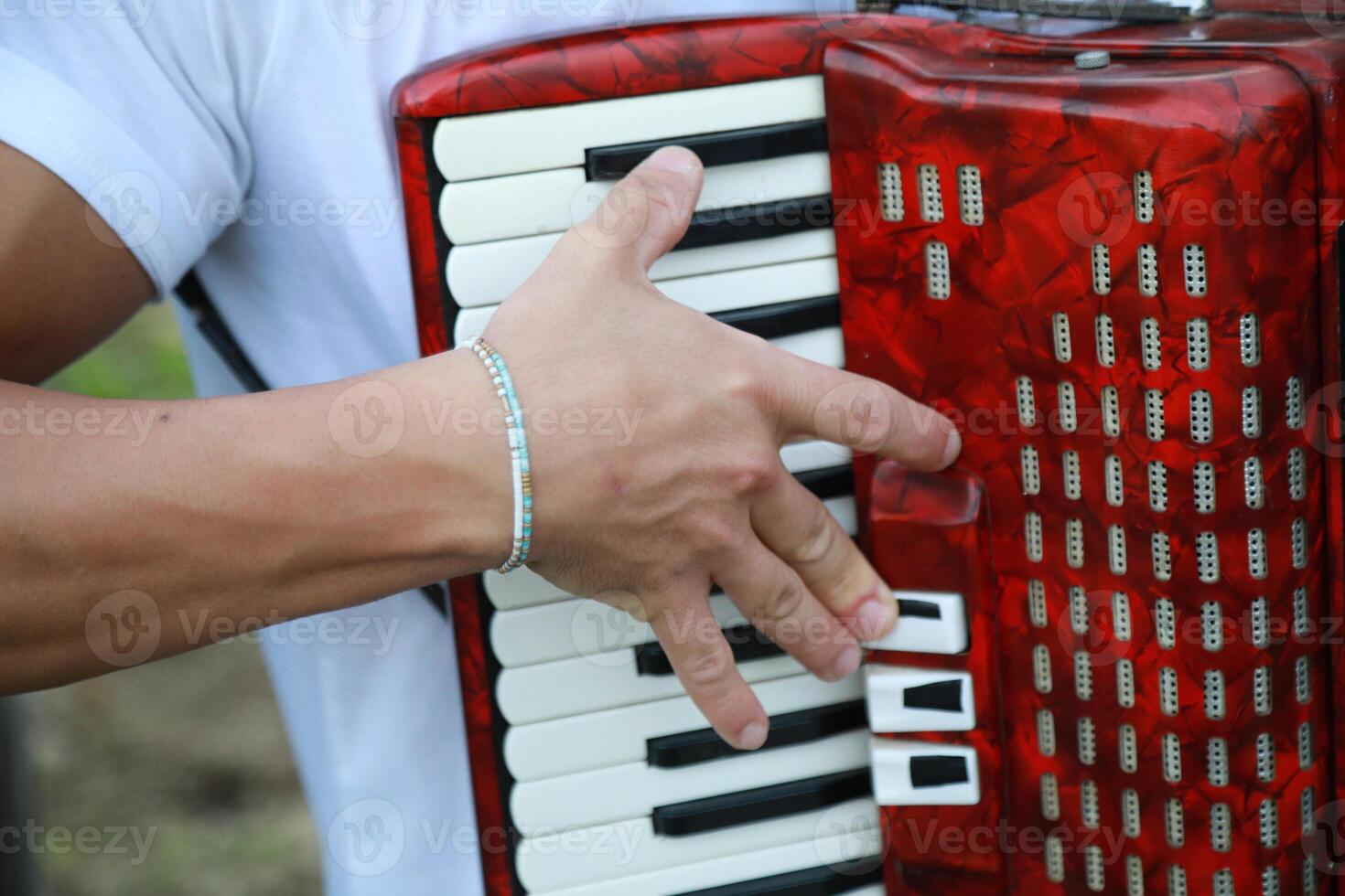 Technique And Ability Of A Professional Accordion Player photo