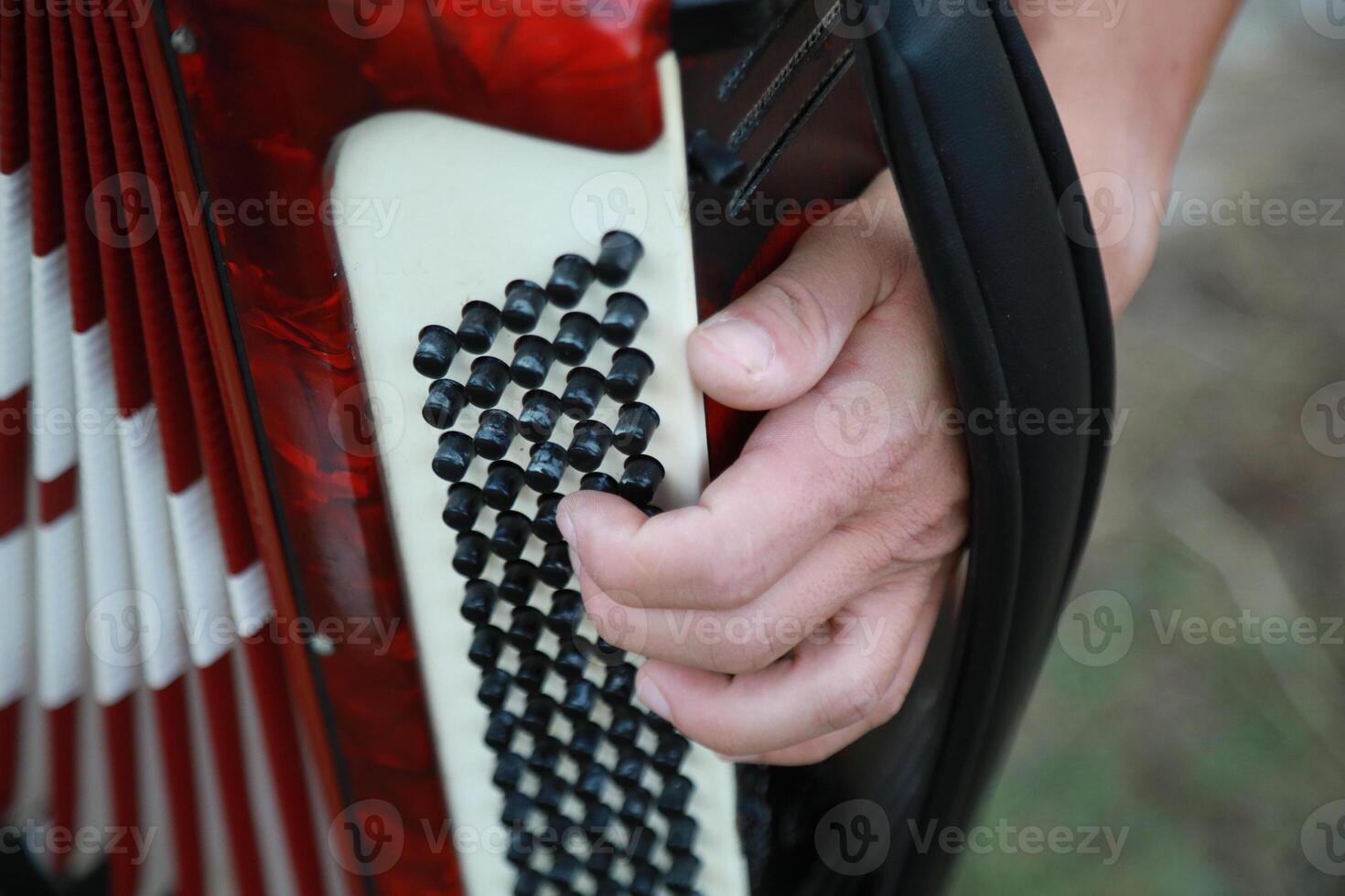 Fingers Moving Fast On The Buttons Of The Accordion photo