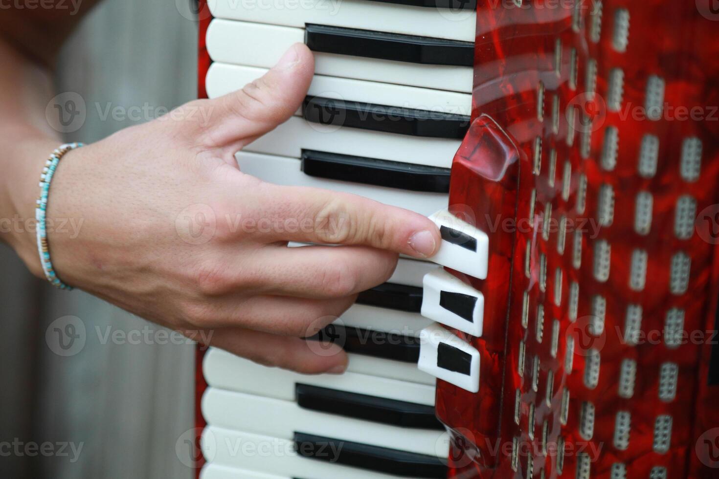Technique And Ability Of A Professional Accordion Player photo