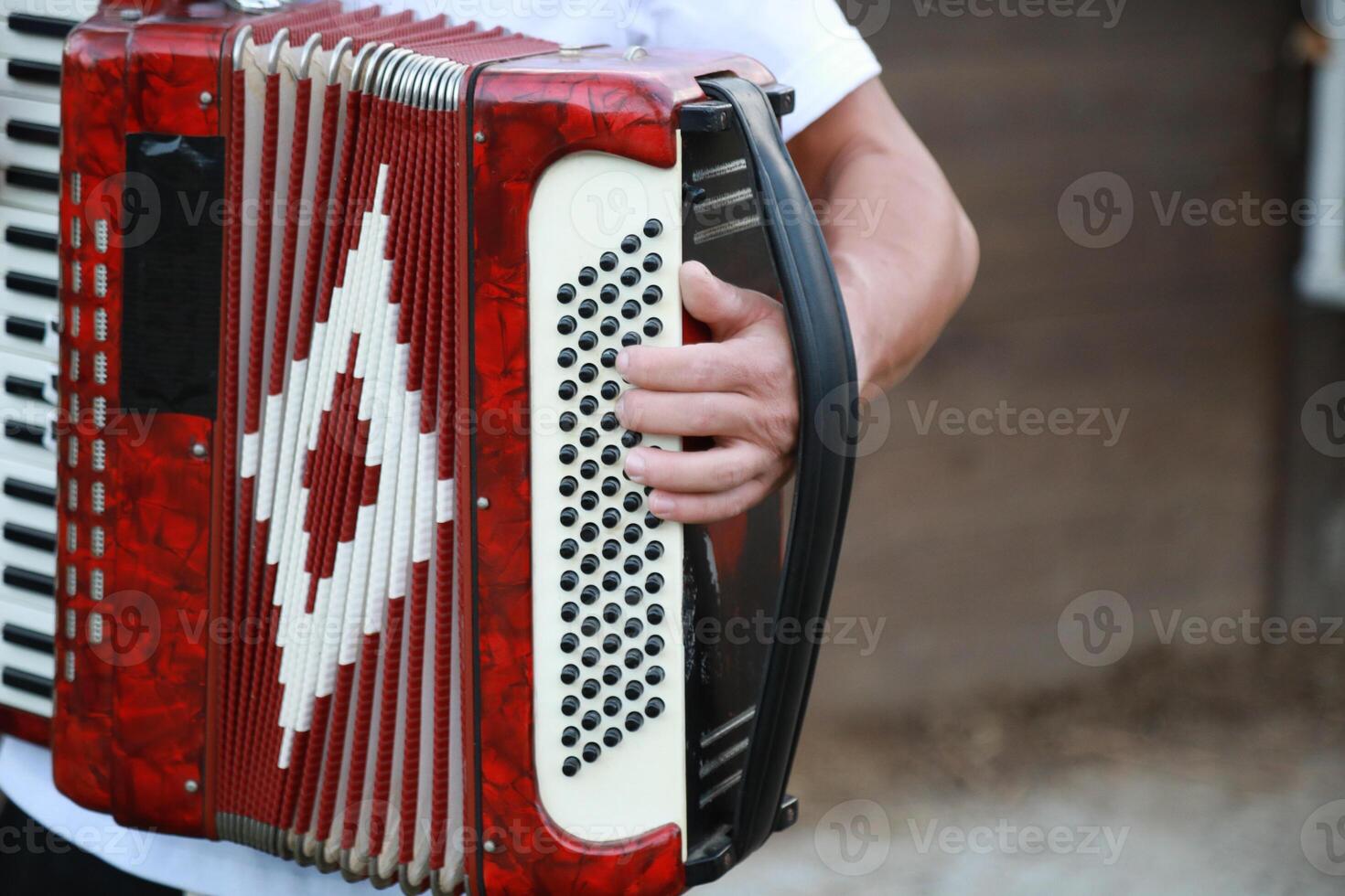 Fingers Moving Fast On The Buttons Of The Accordion photo