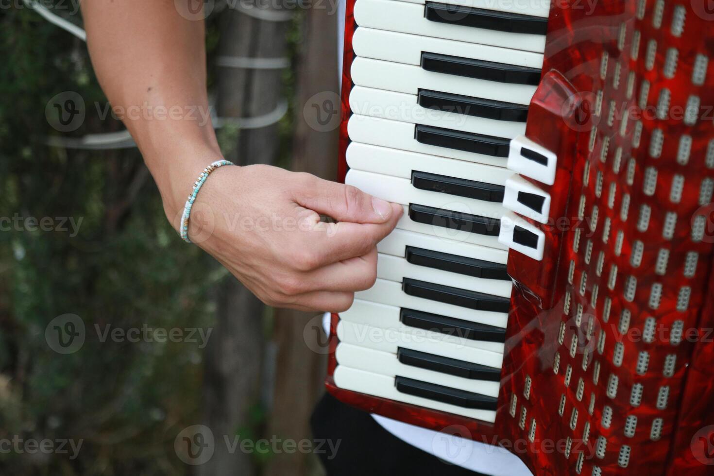 Technique And Ability Of A Professional Accordion Player photo