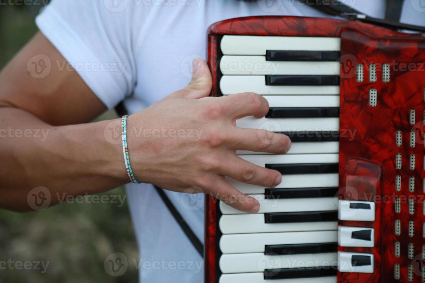Technique And Ability Of A Professional Accordion Player photo