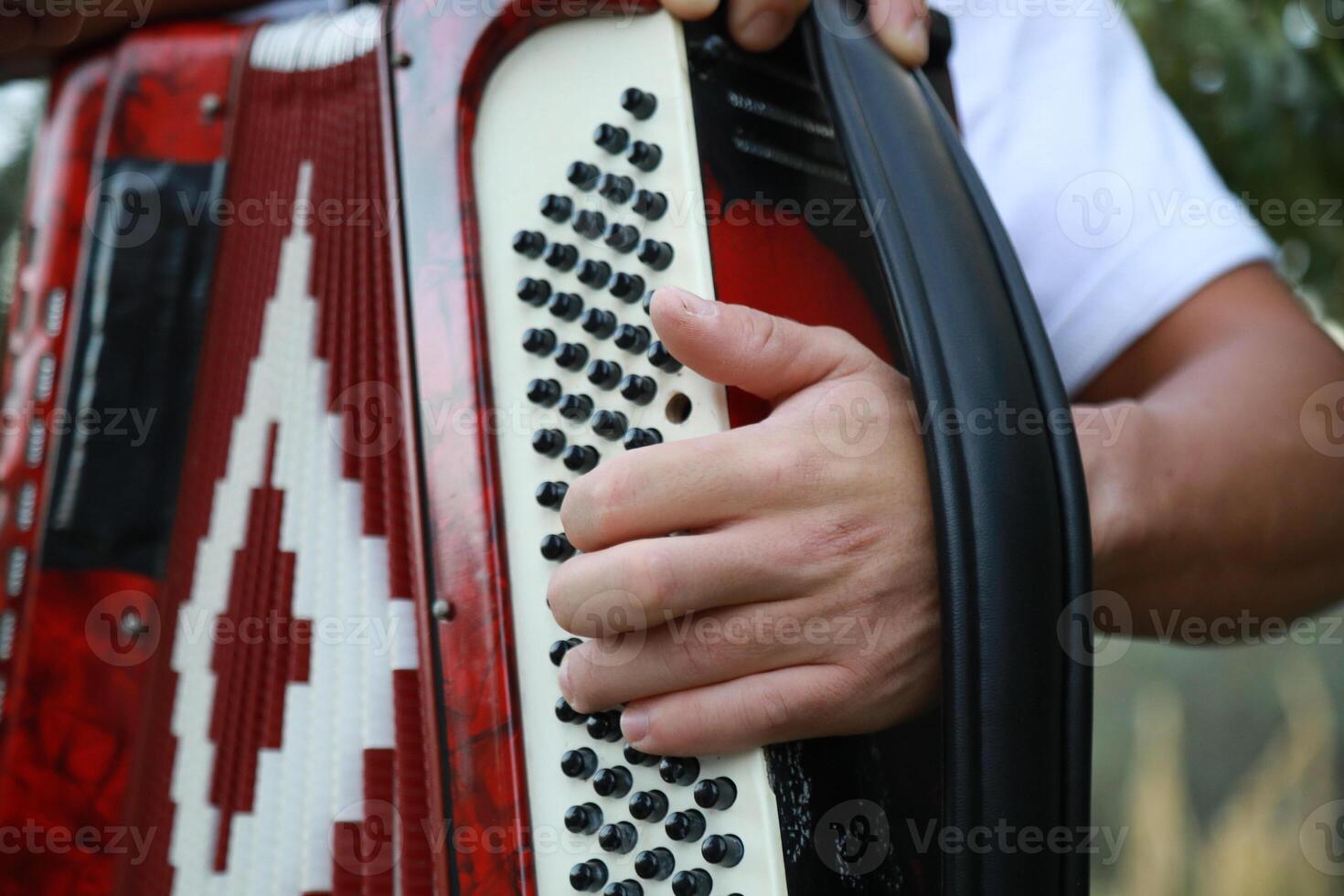 Fingers Moving Fast On The Buttons Of The Accordion photo