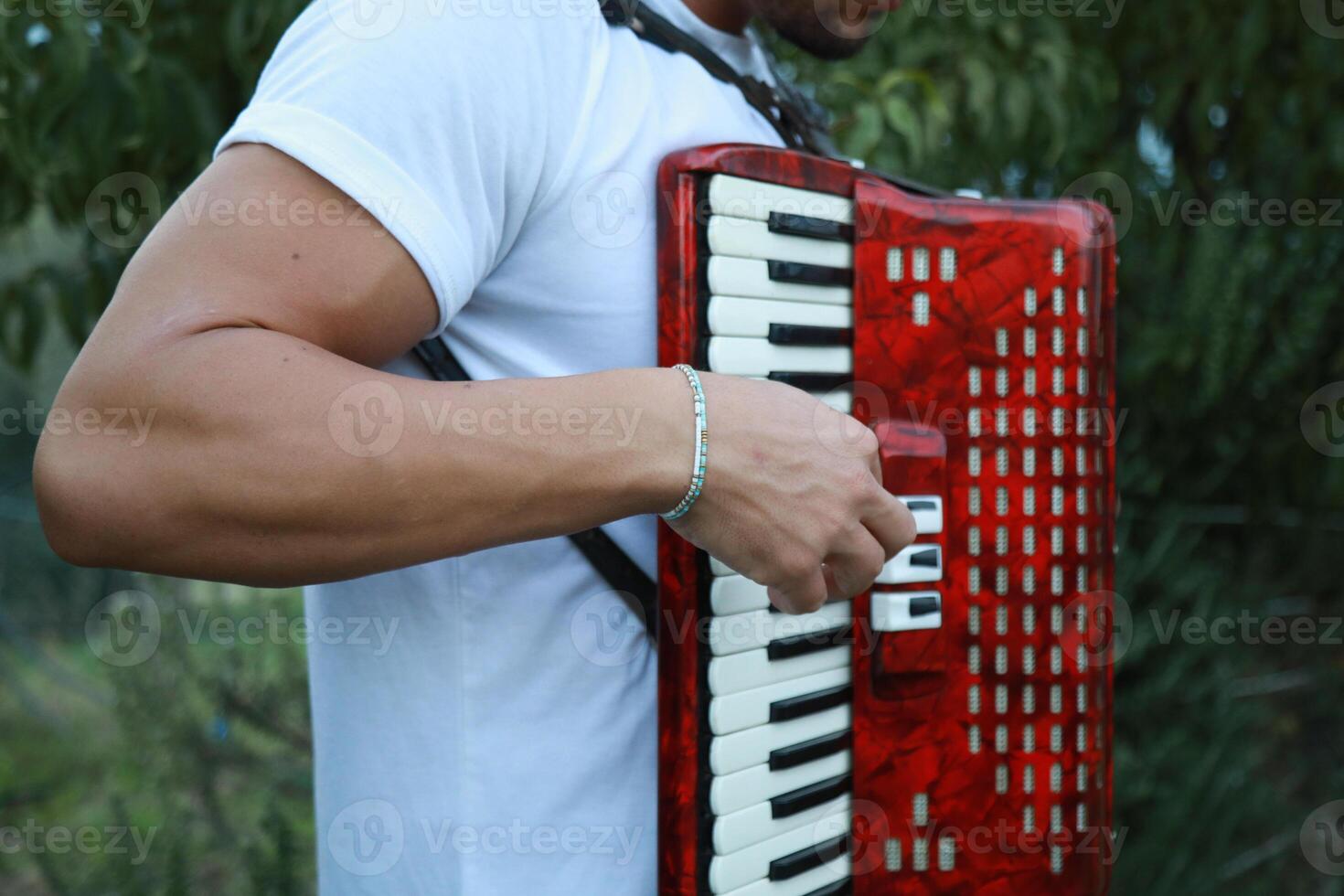 Technique And Ability Of A Professional Accordion Player photo