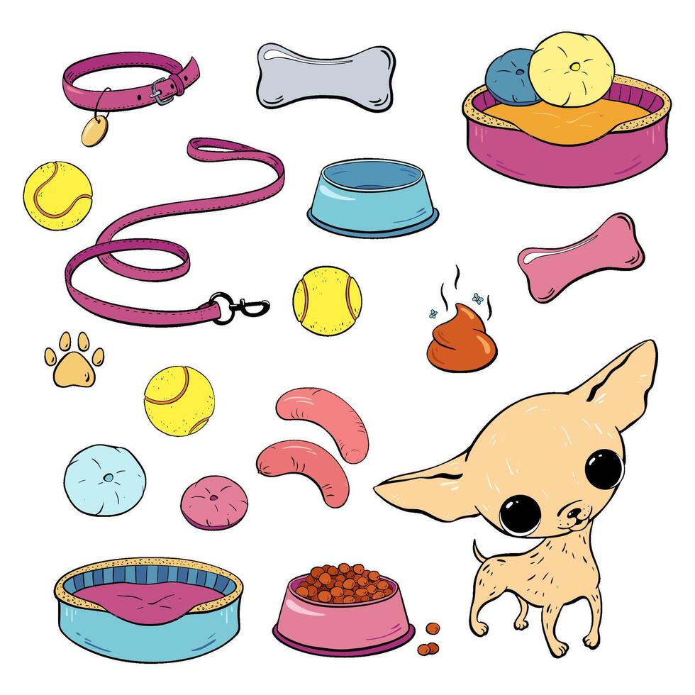 Discover a range of adorable and cute dog accessories along with essential playtime items. illustration. Pet shop vector