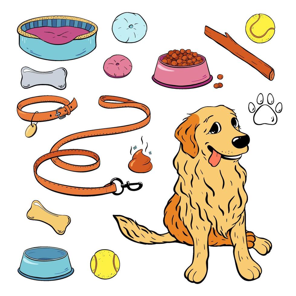 An adorable and cute Golden Retriever wearing various dog accessories and surrounded by toys. illustration. Pet shop vector