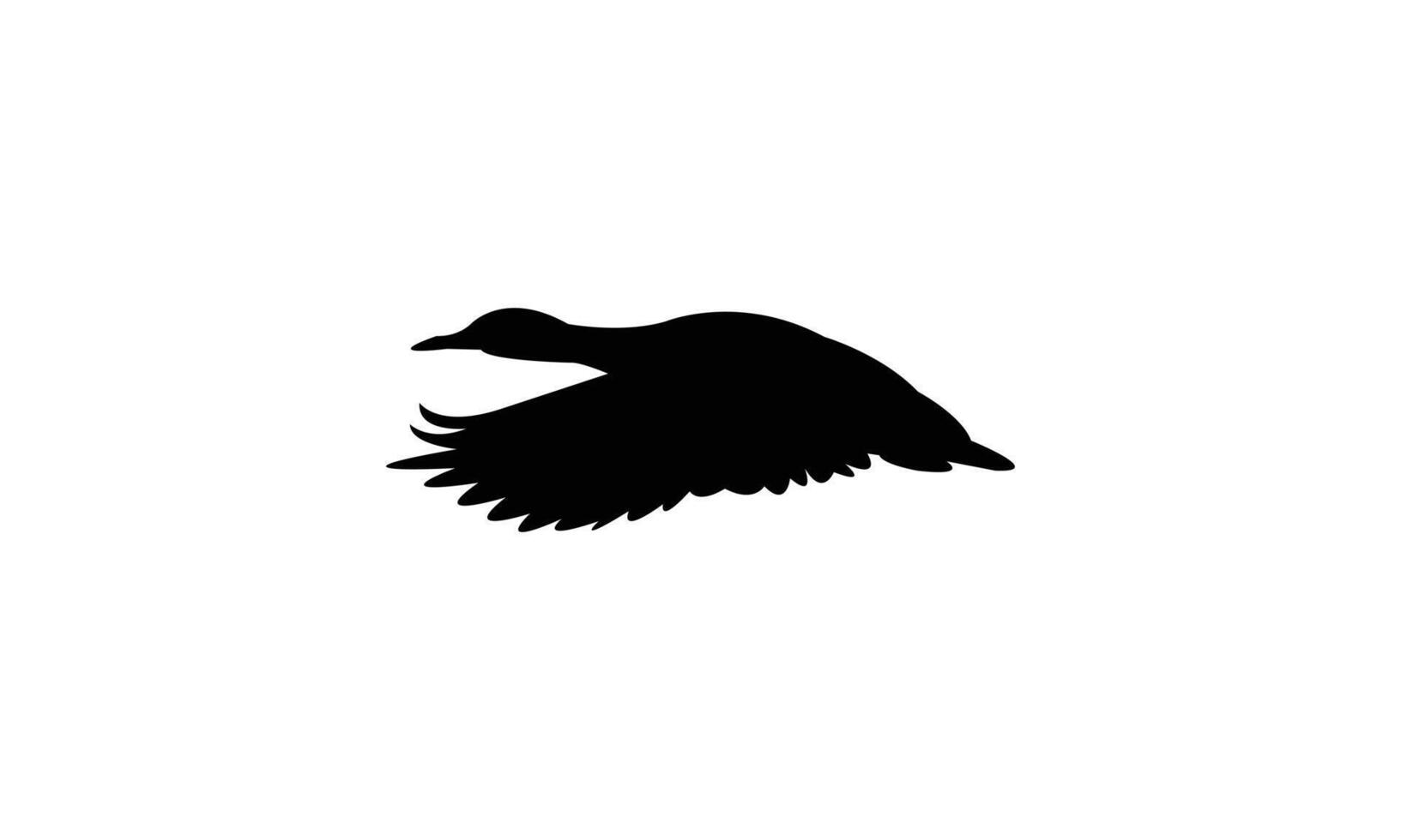 Flying Black Duck Bird Silhouette Design And Illustration. vector