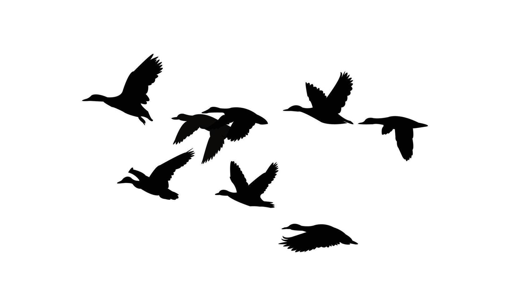 Flying Black Duck Bird Silhouette vector