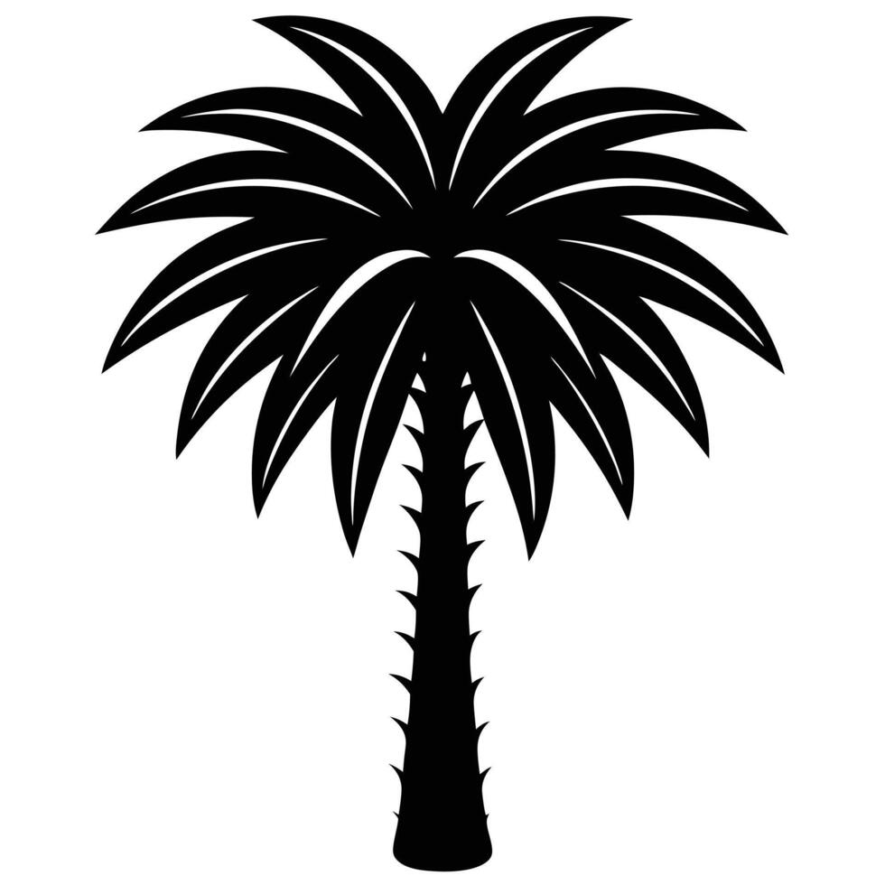 Palm Tree Doodle Palm Tree vector