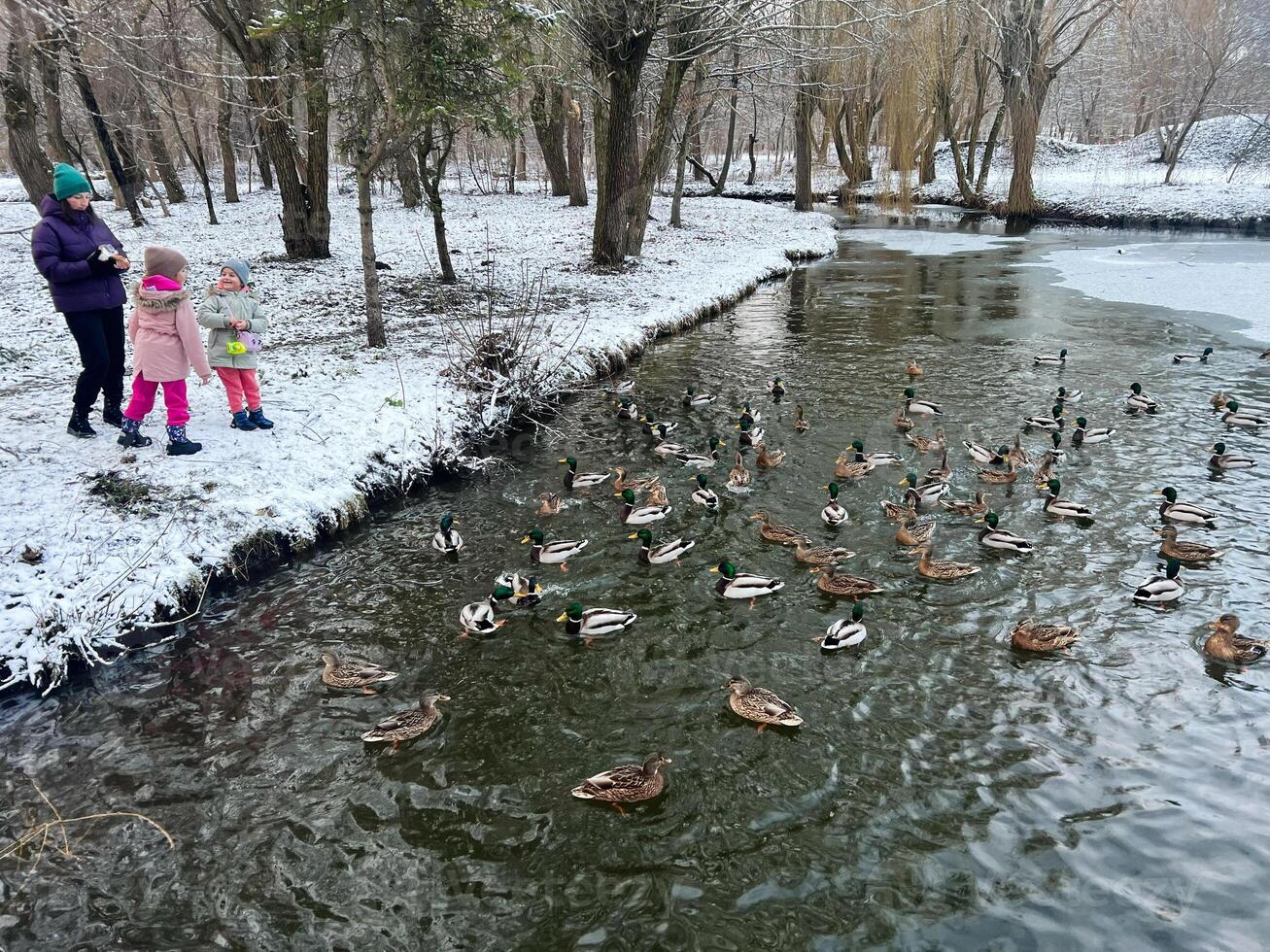 Family Enjoying a Winter Day Feeding Ducks by a Snowy River photo