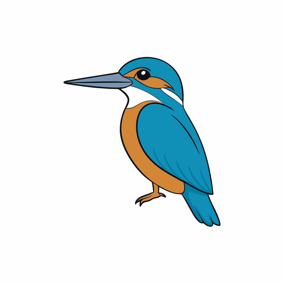 Kingfisher bird illustration showcasing vibrant colors and details vector