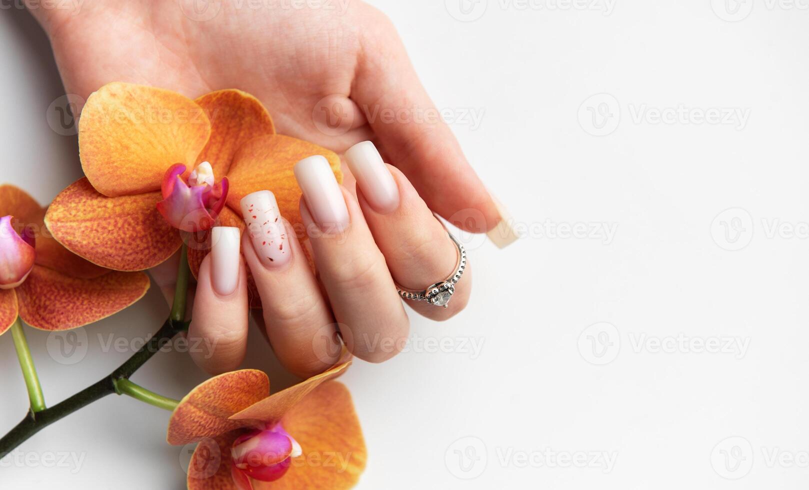 Woman hand showing stylish trendy french manicure holding orange orchid photo