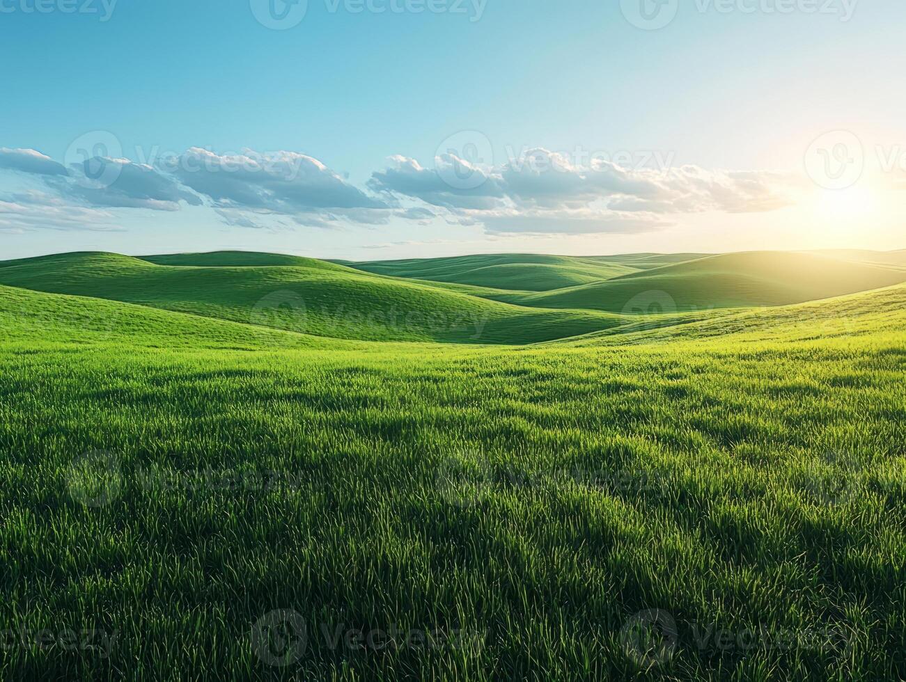 Green grass field photo