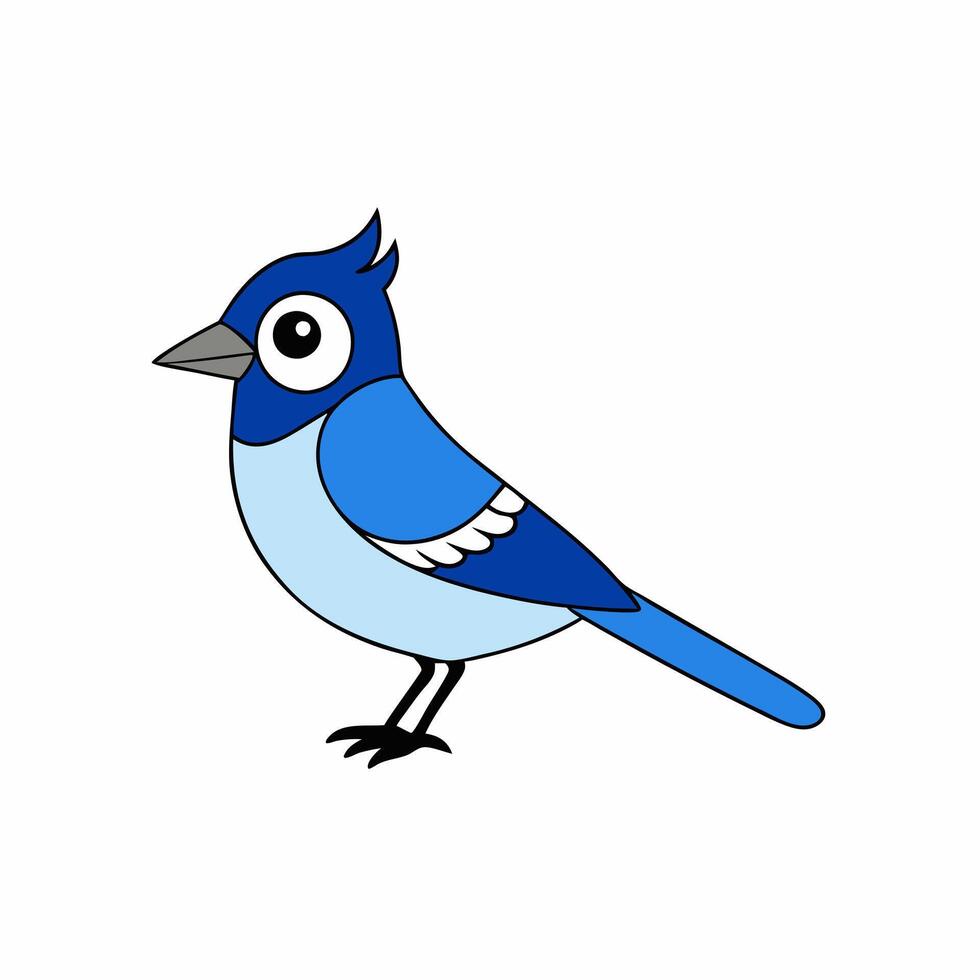 Elegant blue jay bird art illustration in a minimalist style vector
