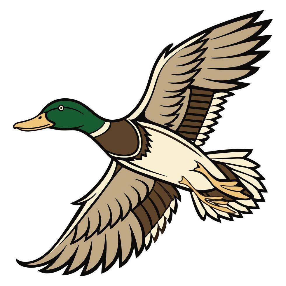 Elegant Mallard Duck Artwork vector