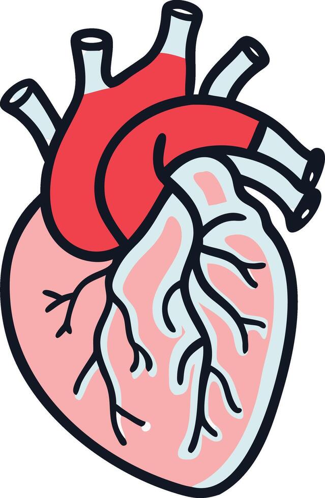 Human Heart icon with nerves vector