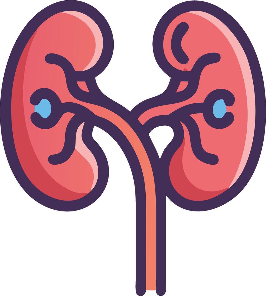 Human kidney icon Drawing vector
