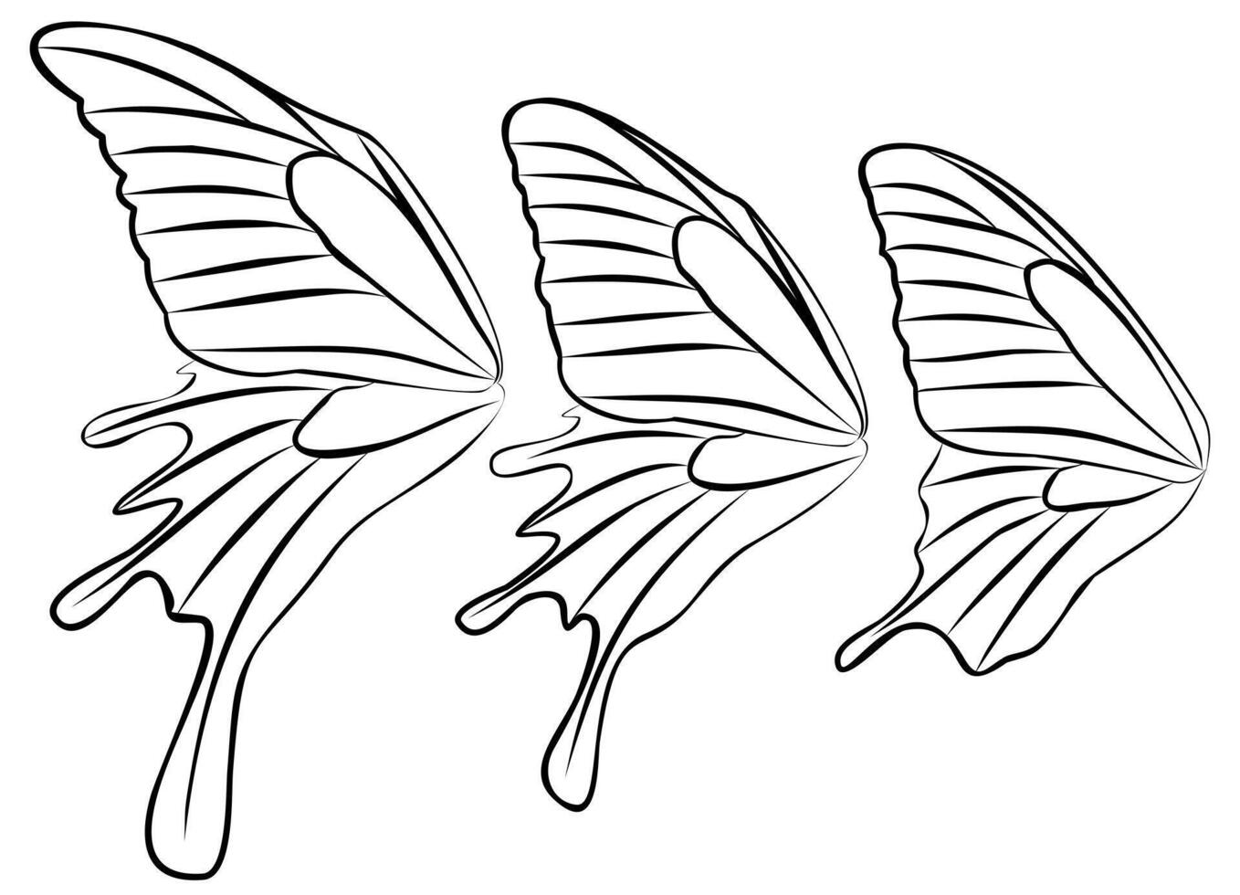 The wings of butterflies of different kinds. vector