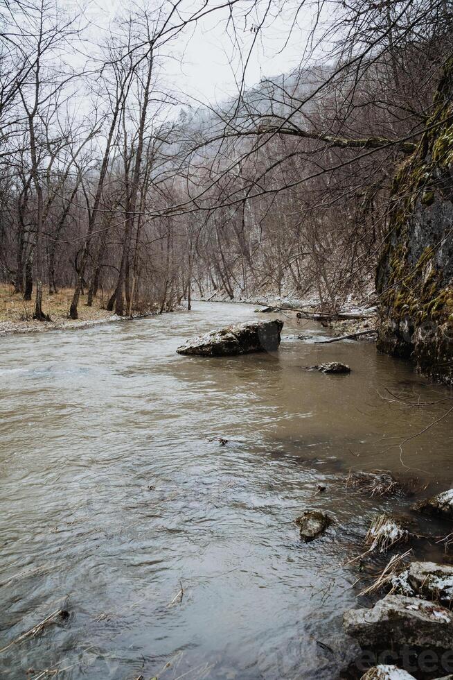 A Serene River Gently Flowing Through a Beautiful Winter Landscape That Features Striking Bare Trees and a Truly Tranquil Atmosphere photo