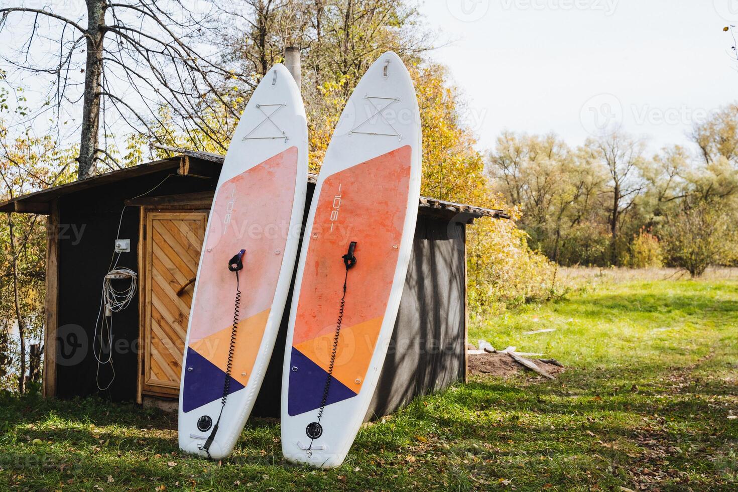 Two colorful surfboards are leaning casually against a small shed in the green grass, surrounded by nature and creating a perfect scene for a fun outdoor day by the water photo
