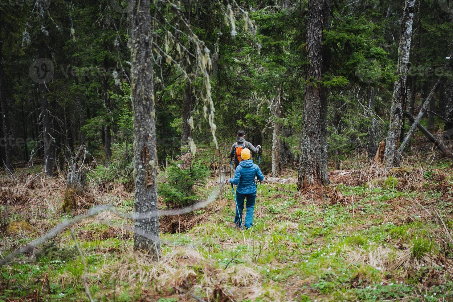A hiker is exploring a natural landscape, surrounded by trees, plants, and grass. They carry a backpack as they walk through the forest, enjoying the scenic views of the woodland terrain photo