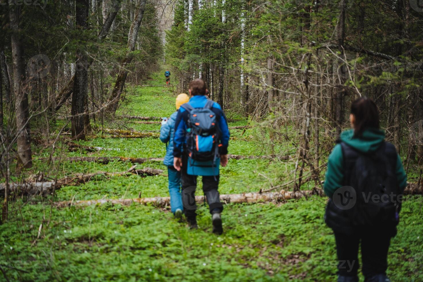 Group of hikers trekking in natural landscape, surrounded by trees and grass photo