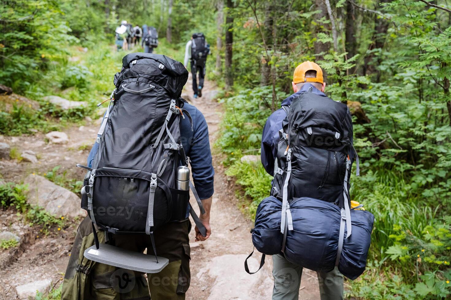 A group of enthusiastic hikers equipped with backpacks traverses a beautiful wilderness trail, surrounded by vibrant, lush greenery all around them photo