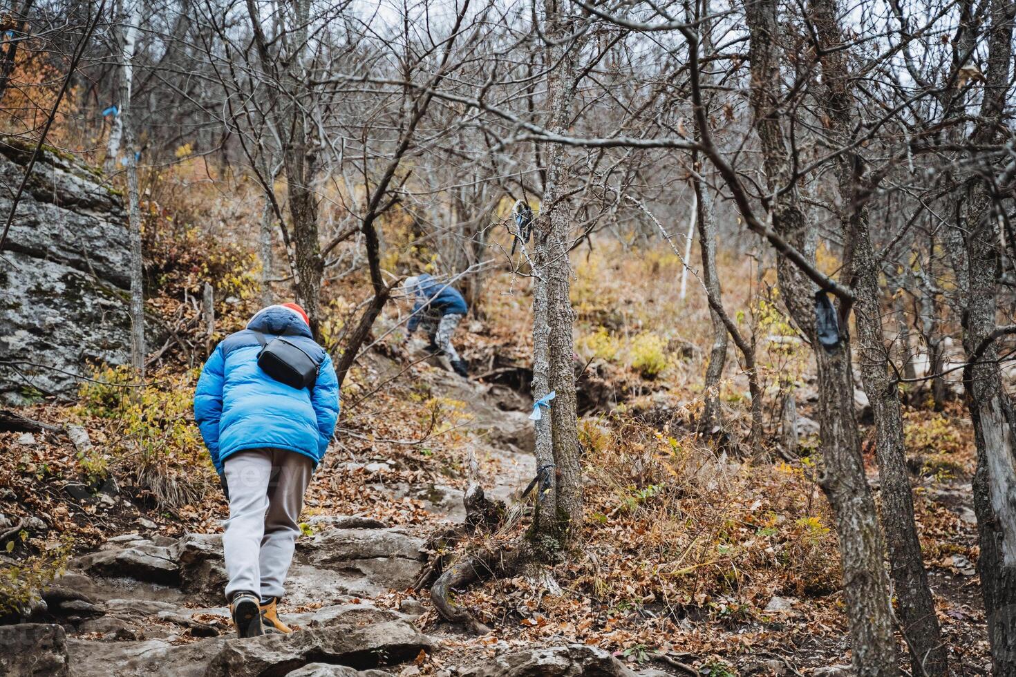 A group of enthusiastic individuals is hiking steadily up a rocky trail that meanders through the lush woods, surrounded by stunning nature and the beauty of the great outdoors photo