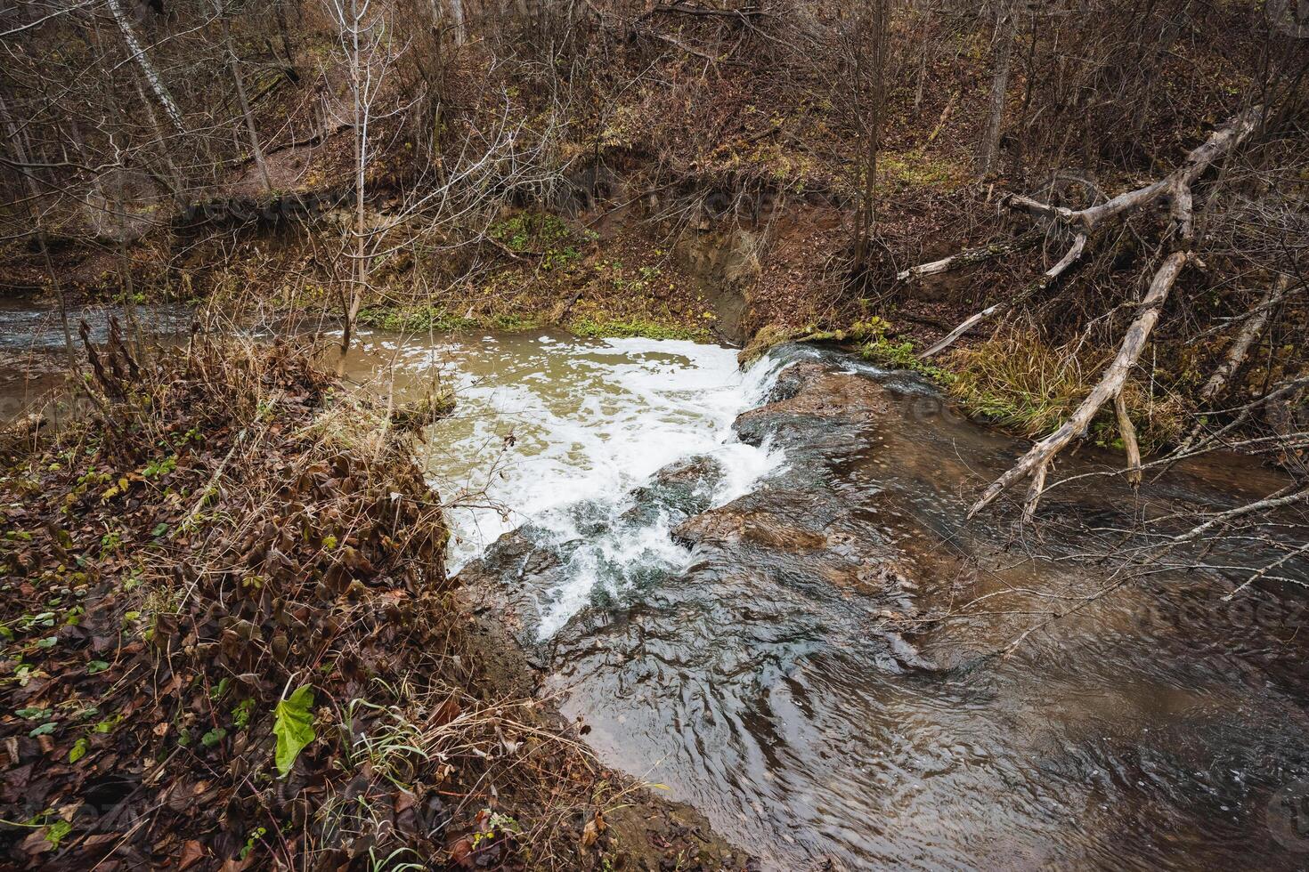 Nestled in the heart of a lush, green forest, there is a picturesque small waterfall that captivates the eye, beautifully surrounded by a diverse array of tall trees and colorful vegetation photo