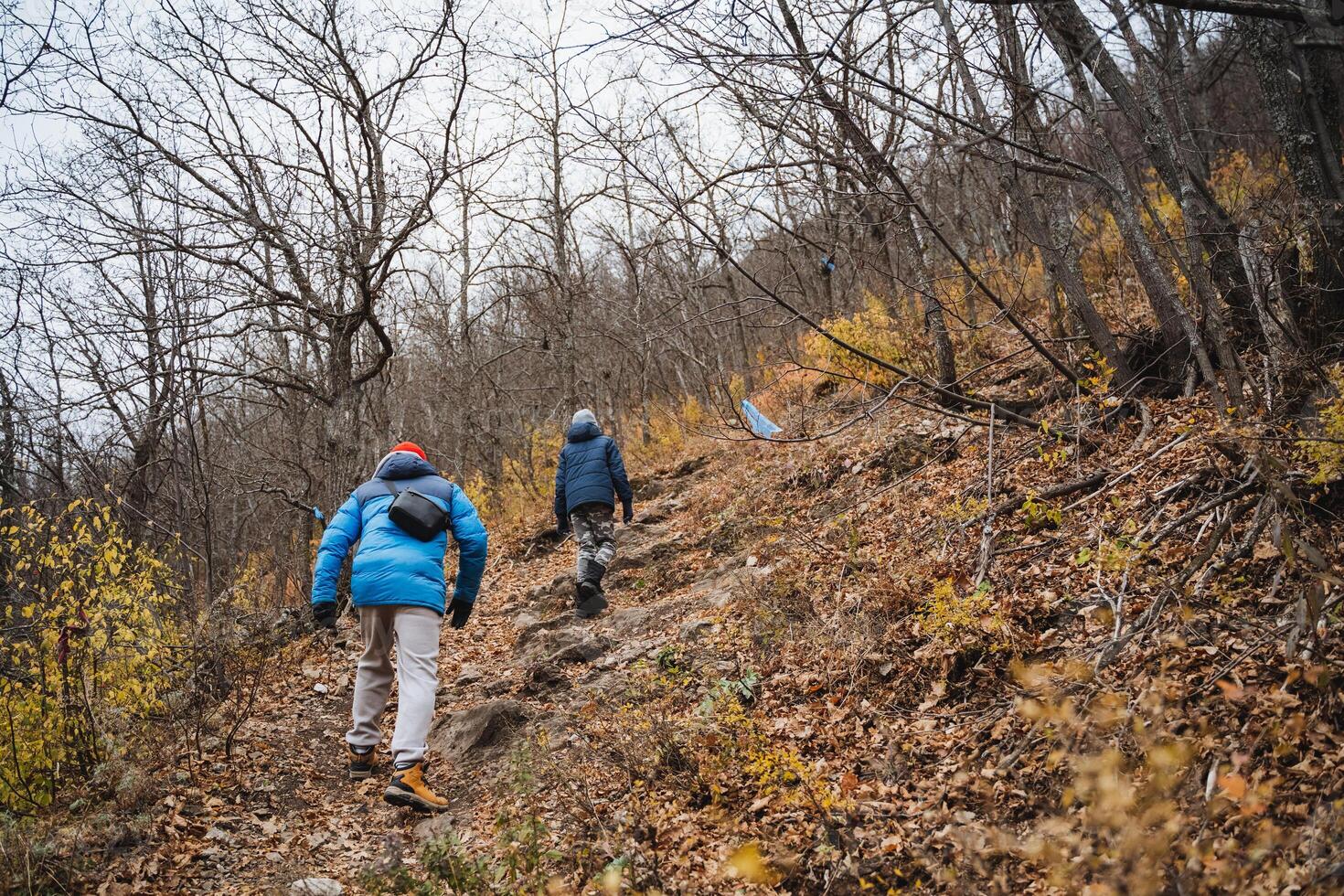 Two individuals are making their way up a steep hill nestled within the serene woods, enjoying the beauty of nature around them as they embark on this outdoor adventure together photo