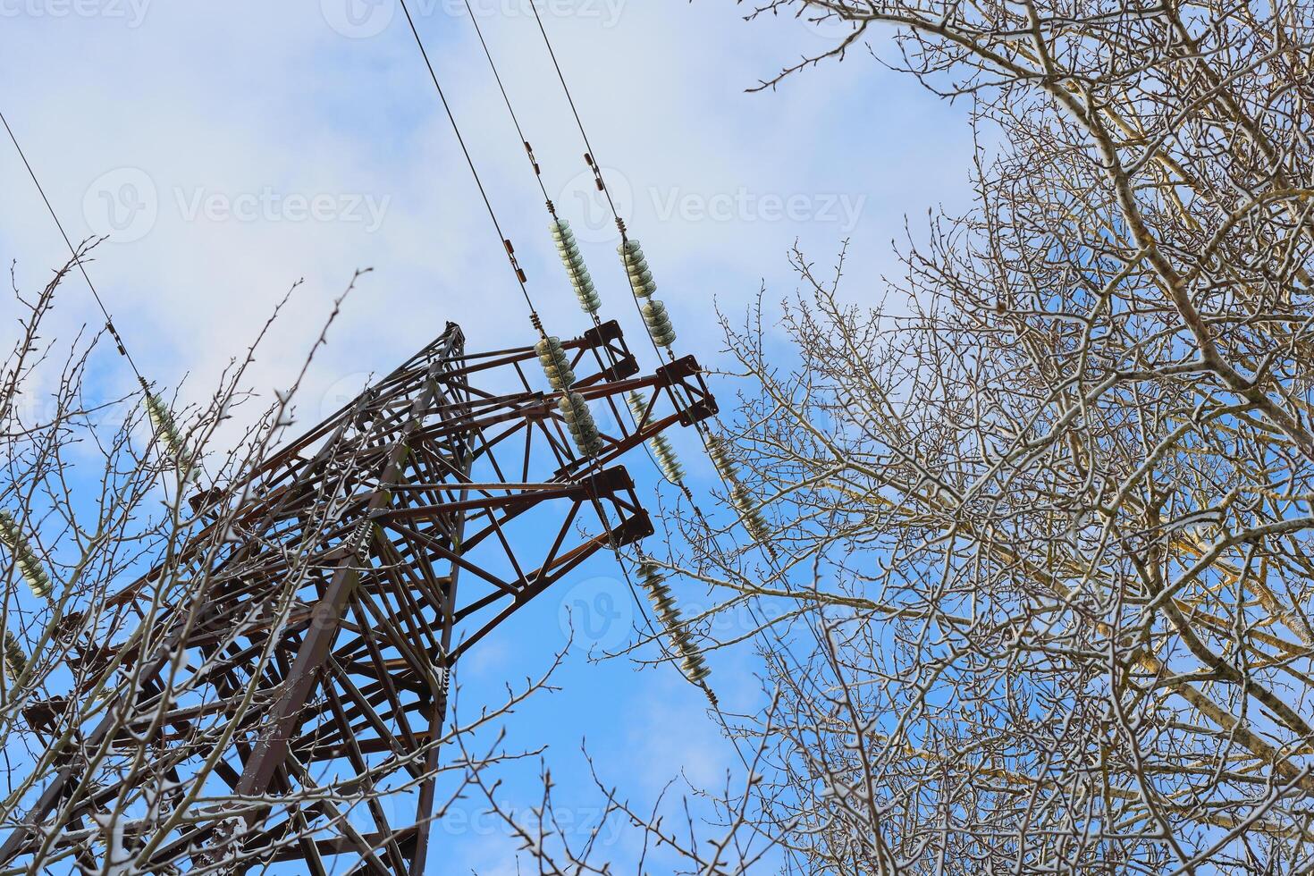 Power Lines Stretching Against a Bright Blue Sky and Leafless Bare Trees in Nature photo