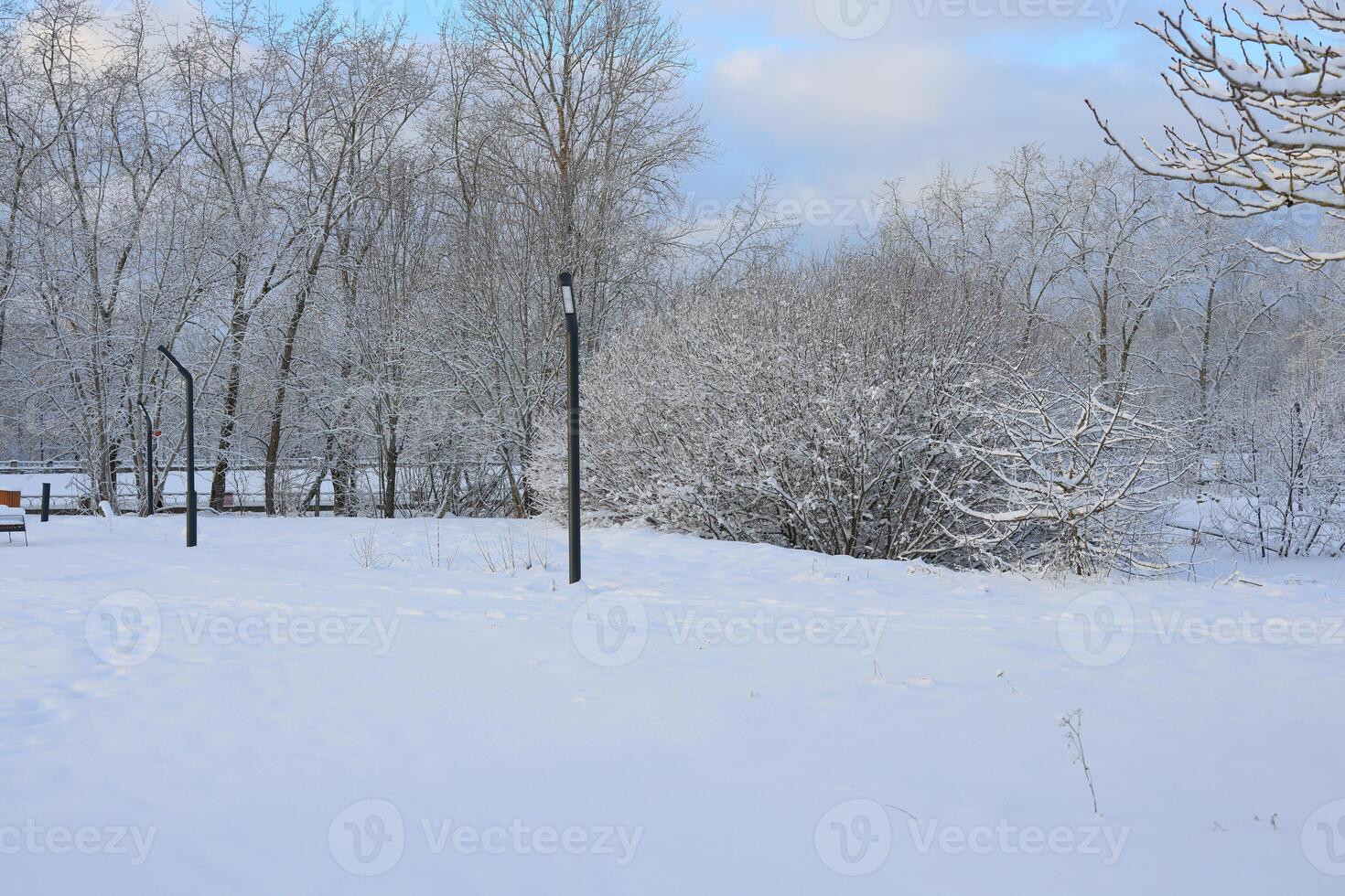 Winter Wonderland A SnowCovered Landscape Filled with Beautiful Trees and Serenity photo
