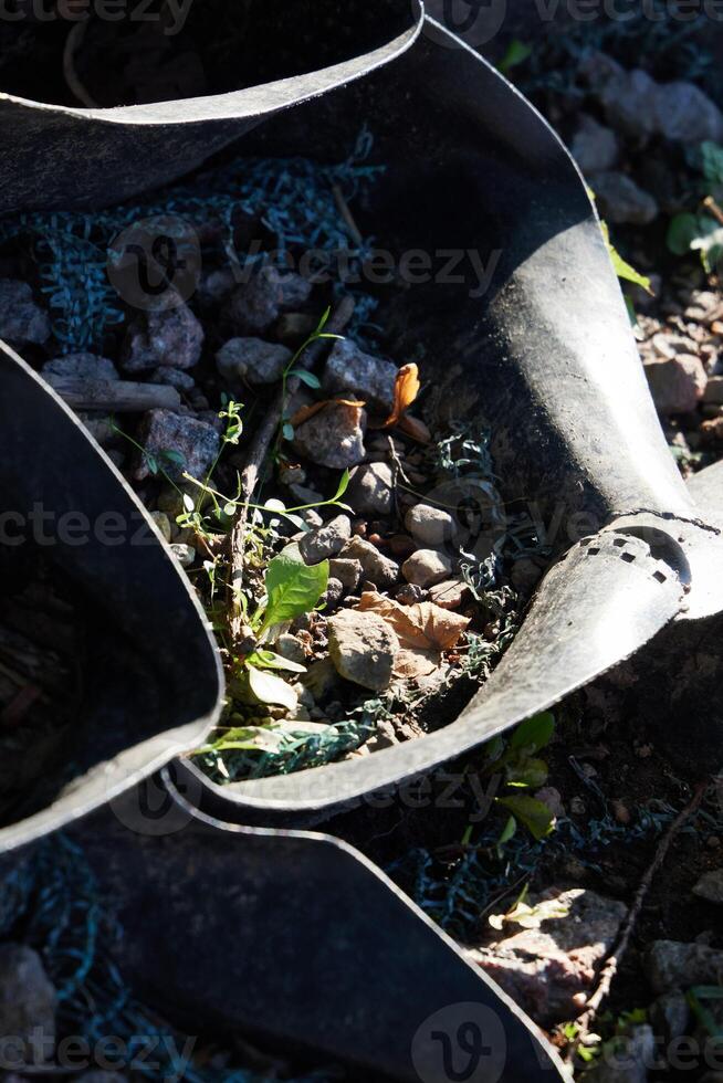 Exploring the magnificent resilience found within Natures astonishing and uncommon textures photo