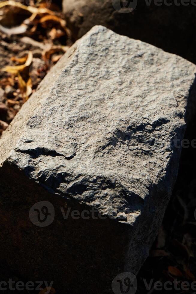 Textured Rock Surface Found in a Natural Setting Surrounded by Various Elements of Nature photo