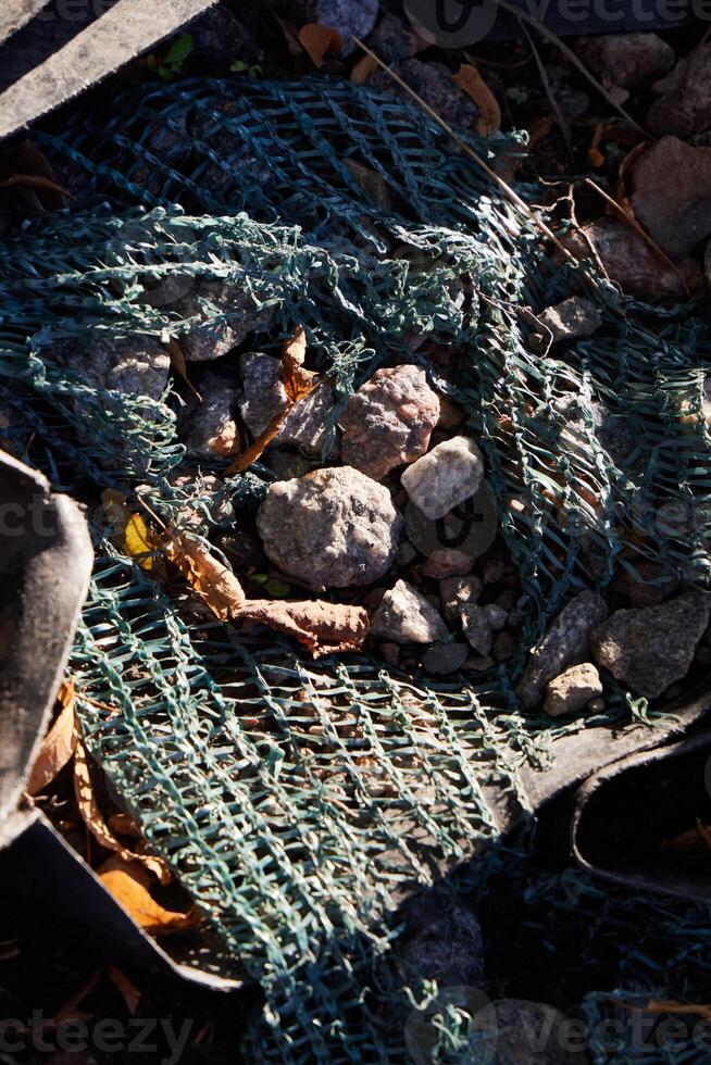 A Rustic Scene Illustrating Debris Along With Natures Resilience and Endurance Amidst Struggles photo