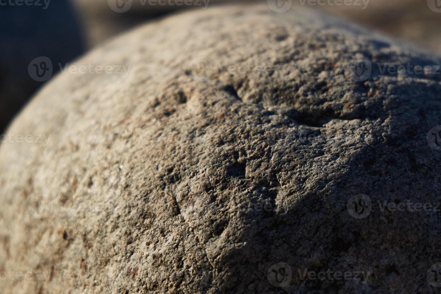 A Closeup Image of a Textured Rock Surface Captured in Beautiful Natural Light Outdoors photo